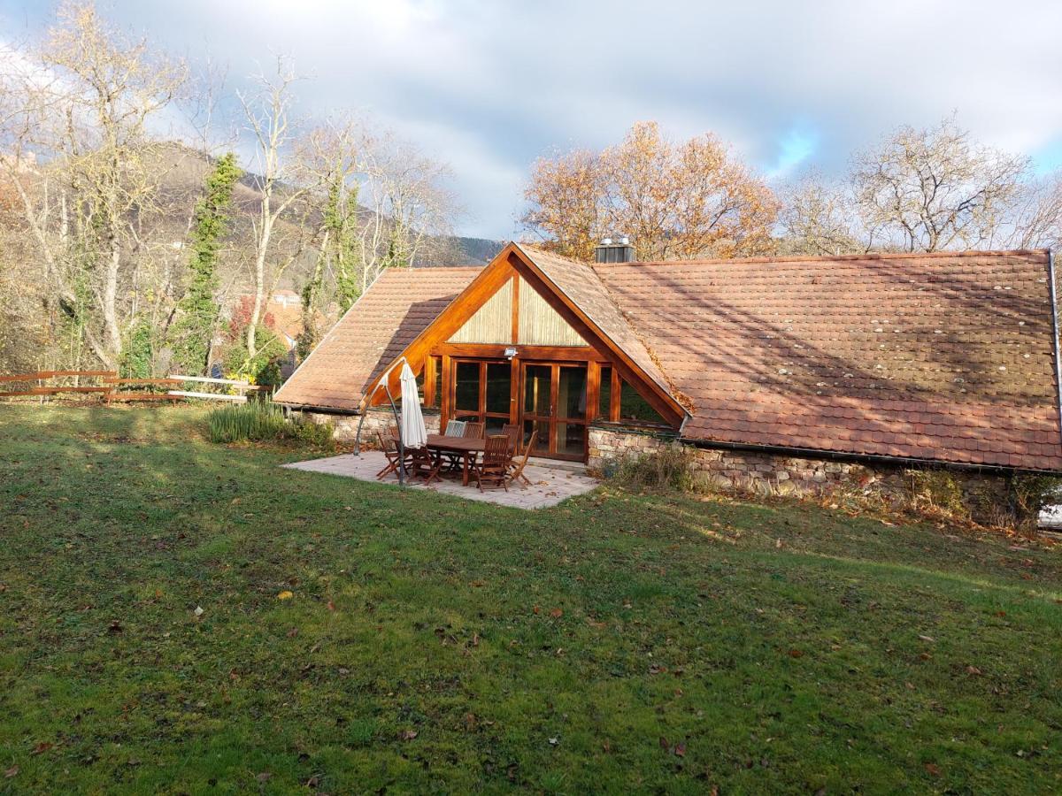 La Canopee Alsacienne - Magnifique Maison A Ribeauville 외부 사진